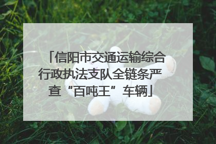 信阳市交通运输综合行政执法支队全链条严查“百吨王”车辆