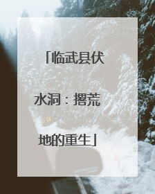 临武县伏水洞：撂荒地的重生