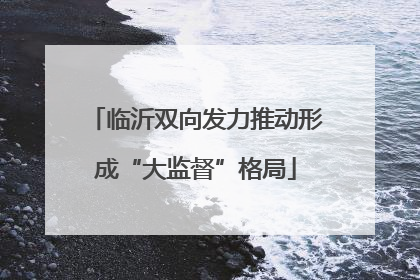 临沂双向发力推动形成“大监督”格局