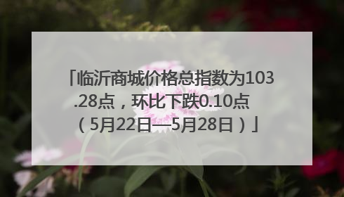 临沂商城价格总指数为103.28点，环比下跌0.10点（5月22日—5月28日）