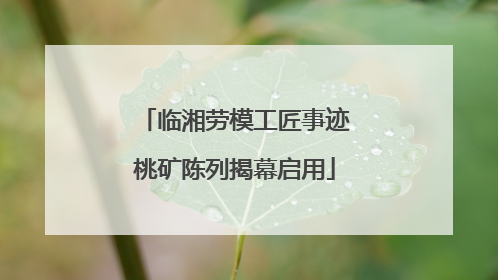 临湘劳模工匠事迹桃矿陈列揭幕启用