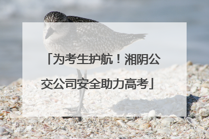 为考生护航！湘阴公交公司安全助力高考