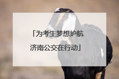 为考生梦想护航 济南公交在行动