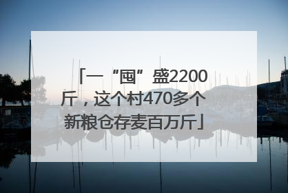 一“囤”盛2200斤，这个村470多个新粮仓存麦百万斤
