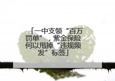 一中支领“百万罚单”，紫金保险何以甩掉“违规频发”标签