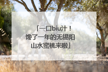 一口biu汁！馋了一年的无锡阳山水蜜桃来啦