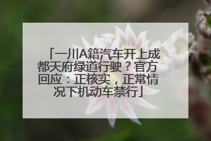 一川A籍汽车开上成都天府绿道行驶？官方回应：正核实，正常情况下机动车禁行