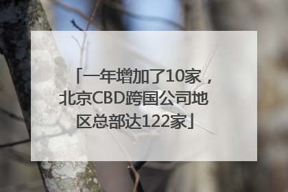 一年增加了10家，北京CBD跨国公司地区总部达122家