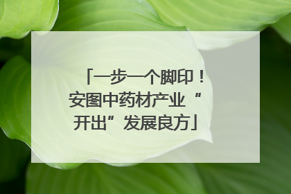 一步一个脚印！安图中药材产业“开出”发展良方