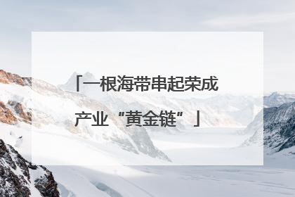 一根海带串起荣成产业“黄金链”