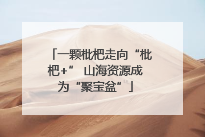 一颗枇杷走向“枇杷+” 山海资源成为“聚宝盆”