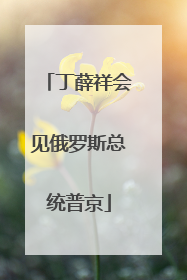 丁薛祥会见俄罗斯总统普京