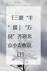 三夏“丰”景｜“五良”齐迎北京小麦收获日