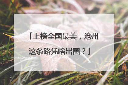 上榜全国最美，沧州这条路凭啥出圈？