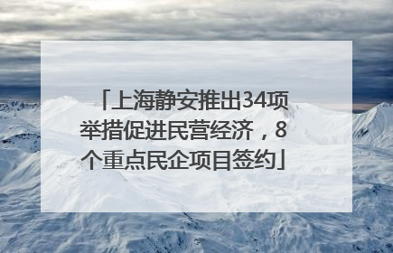 上海静安推出34项举措促进民营经济，8个重点民企项目签约
