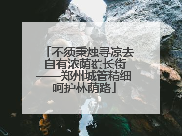 不须秉烛寻凉去 自有浓荫覆长街——郑州城管精细呵护林荫路