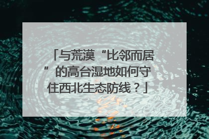与荒漠“比邻而居”的高台湿地如何守住西北生态防线？