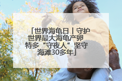 世界海龟日丨守护世界最大海龟产卵 特多“守夜人”坚守海滩30多年
