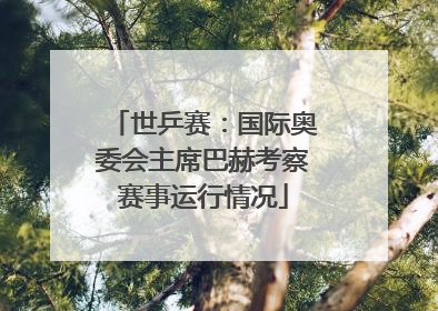 世乒赛：国际奥委会主席巴赫考察赛事运行情况