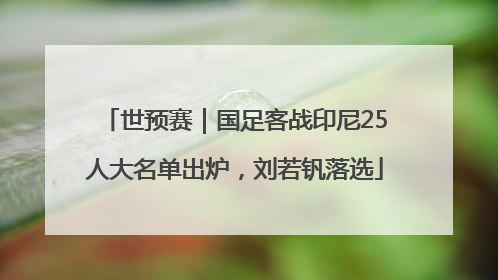 世预赛｜国足客战印尼25人大名单出炉，刘若钒落选