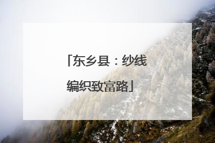 东乡县：纱线编织致富路