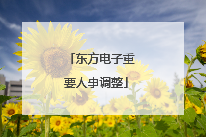 东方电子重要人事调整