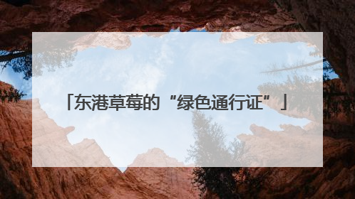 东港草莓的“绿色通行证”