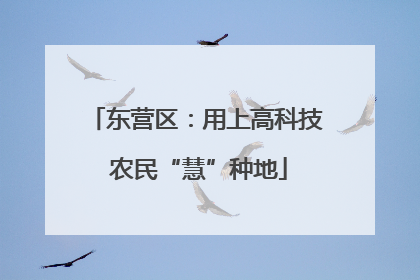 东营区：用上高科技 农民“慧”种地