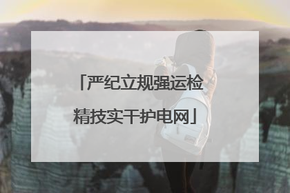 严纪立规强运检 精技实干护电网