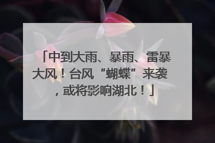 中到大雨、暴雨、雷暴大风！台风“蝴蝶”来袭，或将影响湖北！