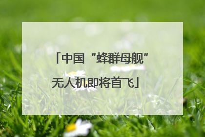 中国“蜂群母舰”无人机即将首飞