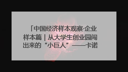 中国经济样本观察·企业样本篇｜从大学生创业园闯出来的“小巨人”——卡诺普机器人的逐梦历程