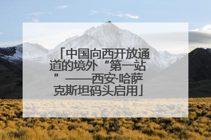 中国向西开放通道的境外“第一站”——西安·哈萨克斯坦码头启用