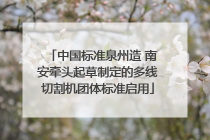 中国标准泉州造 南安牵头起草制定的多线切割机团体标准启用