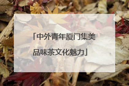 中外青年厦门集美品味茶文化魅力