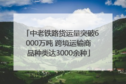 中老铁路货运量突破6000万吨 跨境运输商品种类达3000余种