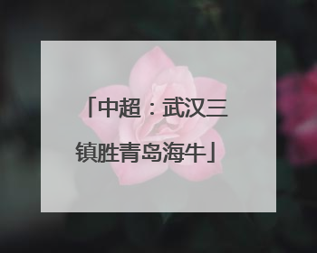 中超：武汉三镇胜青岛海牛
