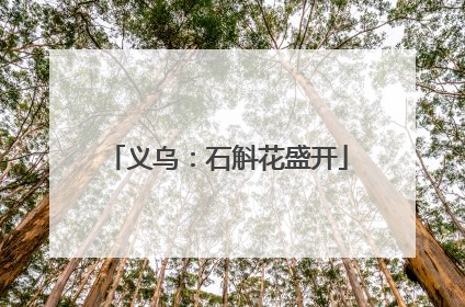 义乌：石斛花盛开
