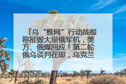 乌“蛛网”行动战报称摧毁大量俄军机，美方、俄媒回应！第二轮俄乌谈判在即，乌克兰提出三大诉求
