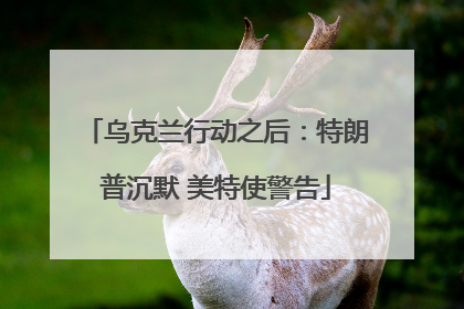 乌克兰行动之后：特朗普沉默 美特使警告