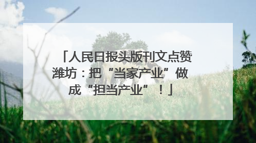 人民日报头版刊文点赞潍坊：把“当家产业”做成“担当产业”！