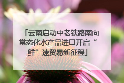 云南启动中老铁路南向常态化水产品进口开启“鲜”速贸易新征程
