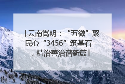云南嵩明：“五微”聚民心“3456”筑基石，精治善治谱新篇