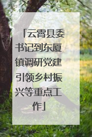 云霄县委书记到东厦镇调研党建引领乡村振兴等重点工作