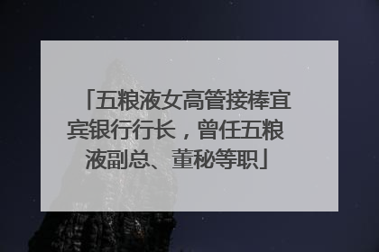 五粮液女高管接棒宜宾银行行长，曾任五粮液副总、董秘等职