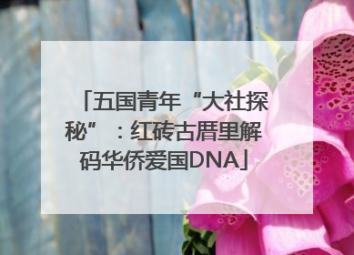 五国青年“大社探秘”：红砖古厝里解码华侨爱国DNA