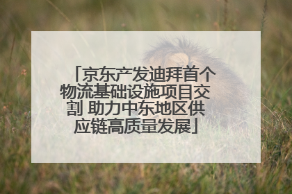 京东产发迪拜首个物流基础设施项目交割 助力中东地区供应链高质量发展