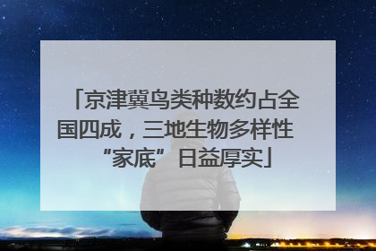 京津冀鸟类种数约占全国四成，三地生物多样性“家底”日益厚实