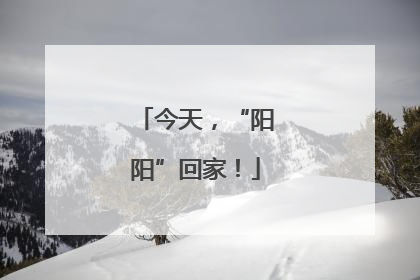 今天，“阳阳”回家！