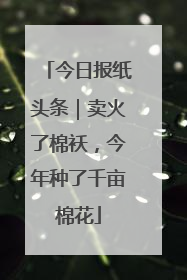 今日报纸头条｜卖火了棉袄，今年种了千亩棉花